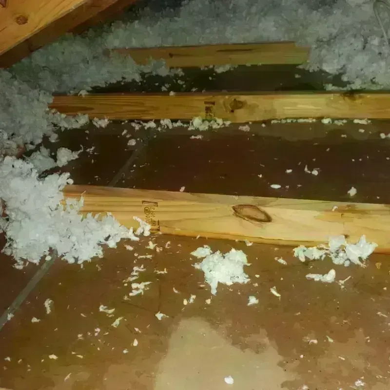 Attic Water Damage in Jordan, NY