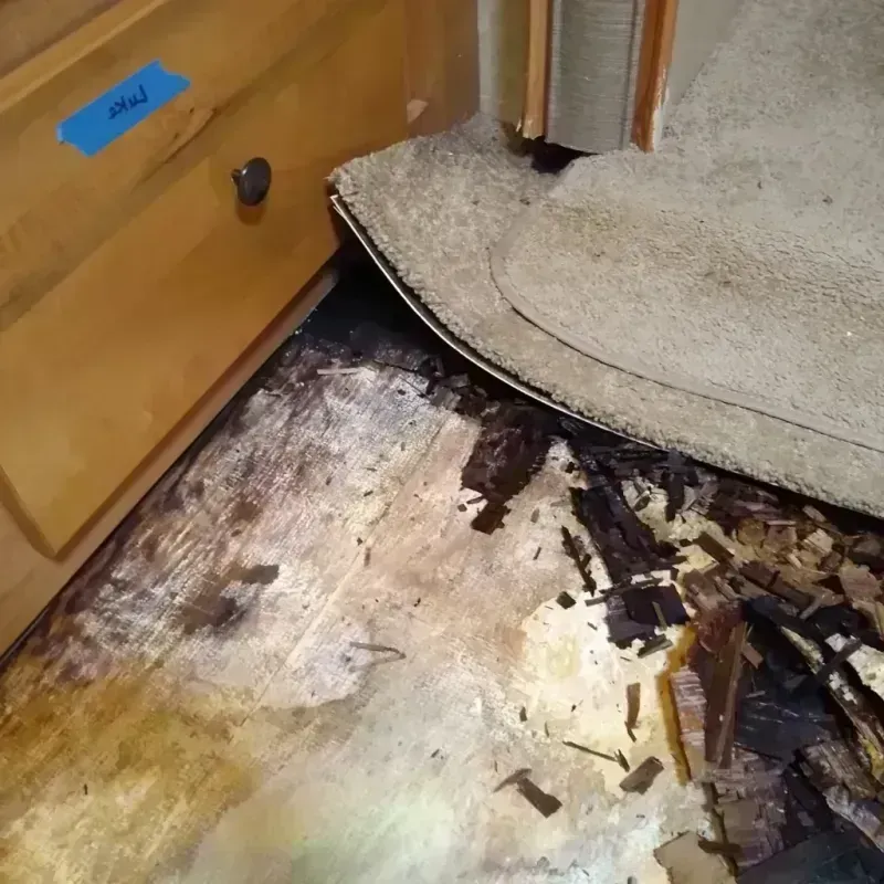 Best Wood Floor Water Damage Service in Jordan, NY